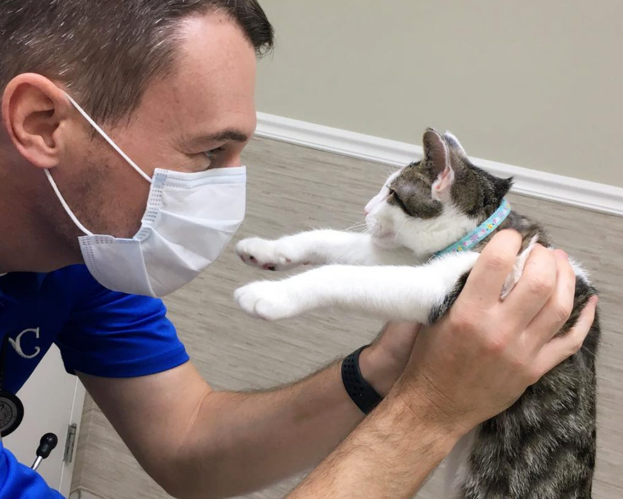 Dr. Pippin holding cat